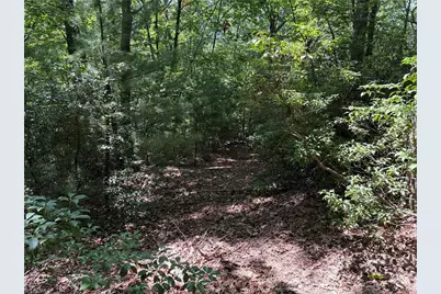 Lot 102 & 103 Hickory Hollow Road, Purlear, NC 28665 - Photo 7