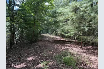 Lot 102 & 103 Hickory Hollow Road, Purlear, NC 28665 - Photo 5