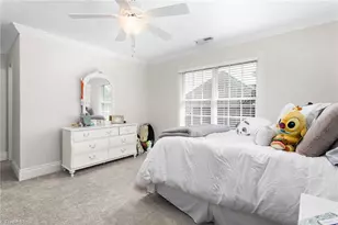 713 Mill Pointe Way, Elon, NC 27244 - Photo 29