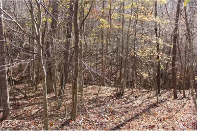 1662 Ralph Joyce Road, Sandy Ridge, NC 27046 - Photo 31