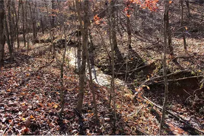 1662 Ralph Joyce Road, Sandy Ridge, NC 27046 - Photo 33