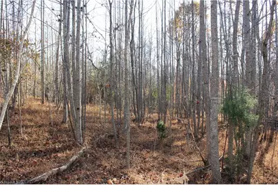 00 Ralph Joyce Road, Sandy Ridge, NC 27046 - Photo 5