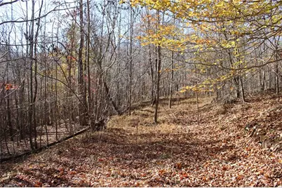 00 Ralph Joyce Road, Sandy Ridge, NC 27046 - Photo 3