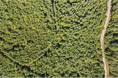 0 Mertie Road, Millers Creek, NC 28651 - Photo 29