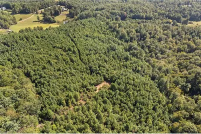 0 Mertie Road, Millers Creek, NC 28651 - Photo 5