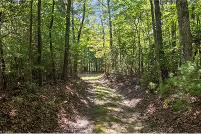 0 Mertie Road, Millers Creek, NC 28651 - Photo 9