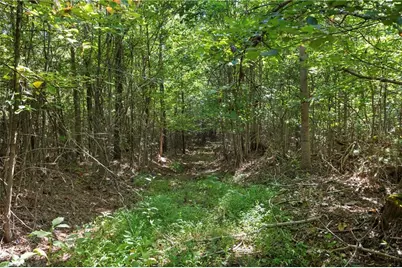 0 Mertie Road, Millers Creek, NC 28651 - Photo 19