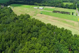 3421 Suits Rd, Gibsonville, NC 27249 - Photo 9