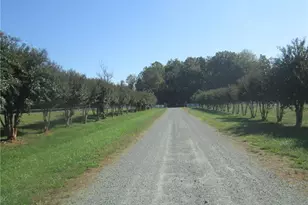 3421 Suits Rd, Gibsonville, NC 27249 - Photo 21