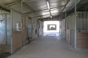 3421 Suits Rd, Gibsonville, NC 27249 - Photo 39