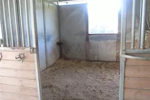 3421 Suits Rd, Gibsonville, NC 27249 - Photo 27