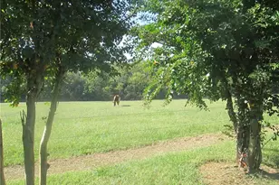 3421 Suits Rd, Gibsonville, NC 27249 - Photo 33