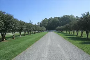 3421 Suits Rd, Gibsonville, NC 27249 - Photo 5