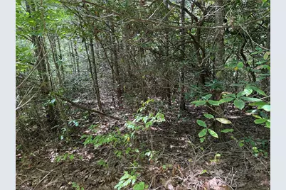 Lot 163 Staghorn Road, Purlear, NC 28665 - Photo 9