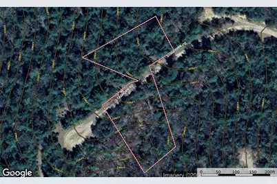 Lot 163 Staghorn Road, Purlear, NC 28665 - Photo 15