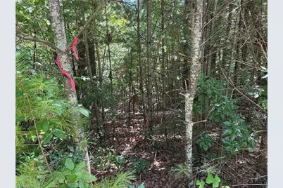 Lot 163 Staghorn Road, Purlear, NC 28665 - Photo 13