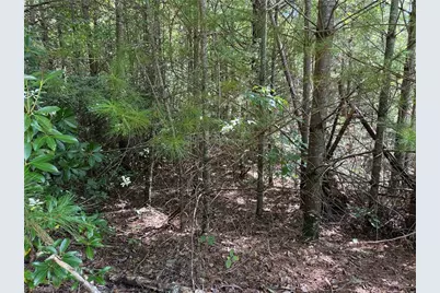 Lot 163 Staghorn Road, Purlear, NC 28665 - Photo 11