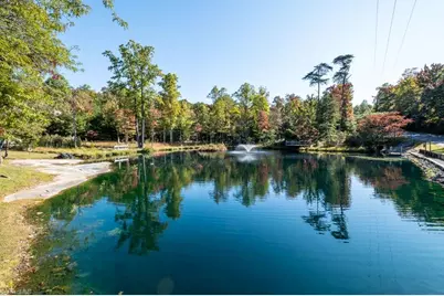 600 Dogwood Circle, Traphill, NC 28685 - Photo 27