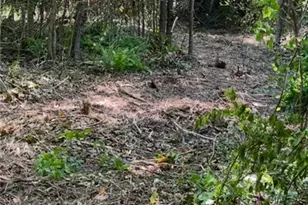 00 Albion Church Rd, Mount Airy, NC 27030 - Photo 1