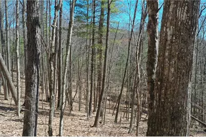 240 Olde Stone Drive, Crumpler, NC 28617 - Photo 19