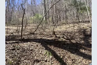 240 Olde Stone Drive, Crumpler, NC 28617 - Photo 17