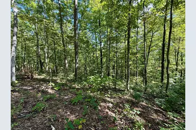 240 Olde Stone Drive, Crumpler, NC 28617 - Photo 39