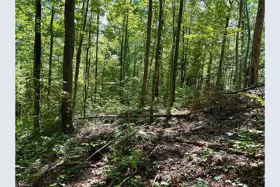 240 Olde Stone Drive, Crumpler, NC 28617 - Photo 41