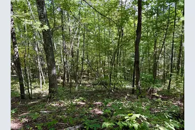 240 Olde Stone Drive, Crumpler, NC 28617 - Photo 9