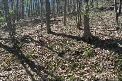 240 Olde Stone Drive, Crumpler, NC 28617 - Photo 25