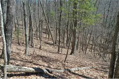 240 Olde Stone Drive, Crumpler, NC 28617 - Photo 7