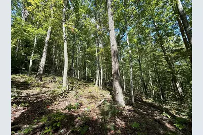 240 Olde Stone Drive, Crumpler, NC 28617 - Photo 5