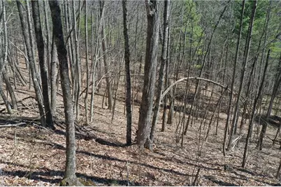 240 Olde Stone Drive, Crumpler, NC 28617 - Photo 15