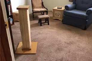 4163 Nc Hwy 704, Madison, NC 27025 - Photo 17