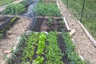 1803 Fleming Rd, Greensboro, NC 27410 - Photo 25