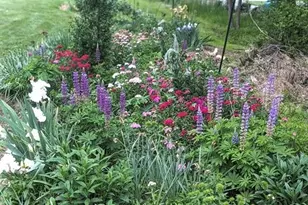 1803 Fleming Rd, Greensboro, NC 27410 - Photo 33