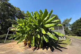 3291 Statesville Rd, North Wilkesboro, NC 28659 - Photo 39