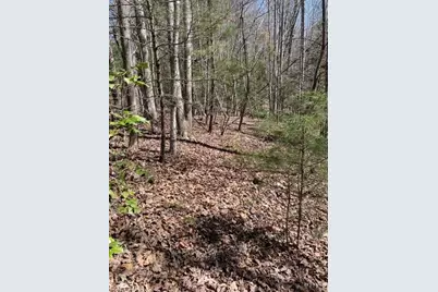 Lot #18 Blue Mountain Drive, Wilkesboro, NC 28697 - Photo 7