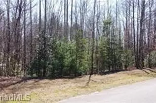 Lot #18 Blue Mountain Dr, Wilkesboro, NC 28697 - Photo 1