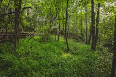 Tbd Johnson Ridge Road, Elkin, NC 28621 - Photo 15