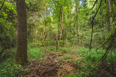 Tbd Johnson Ridge Road, Elkin, NC 28621 - Photo 11