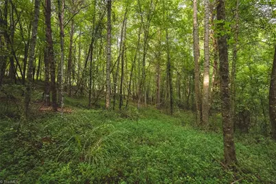 Tbd Johnson Ridge Road, Elkin, NC 28621 - Photo 13