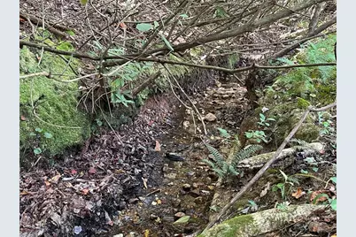 60 Jonathan Drive, Lowgap, NC 27024 - Photo 3