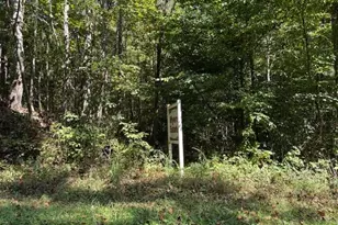 8 Arlie Myers Store Rd, McGrady, NC 28649 - Photo 1