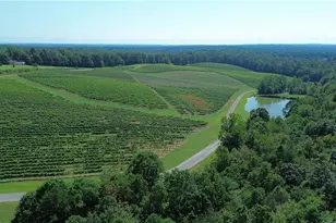 440 Old Railroad Grade Rd, Thurmond, NC 28683 - Photo 47