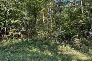 7 Arlie Myers Store Rd, McGrady, NC 28649 - Photo 1