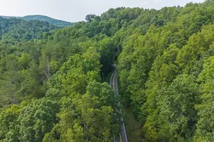 Tbd Brushy Mountain Rd, Moravian Falls, NC 28654 - Photo 1