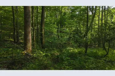 Tbd Brushy Mountain Road, Moravian Falls, NC 28654 - Photo 23