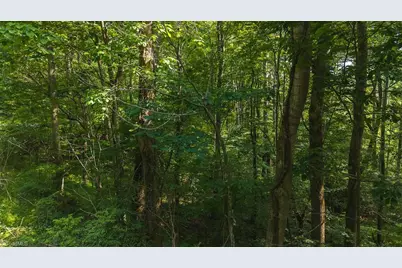 Tbd Brushy Mountain Road, Moravian Falls, NC 28654 - Photo 19