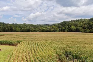 2638 Riverside Dr, Mount Airy, NC 27030 - Photo 7