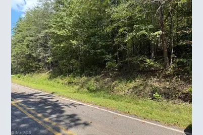 5 Arlie Myers Store Road #5, McGrady, NC 28649 - Photo 3